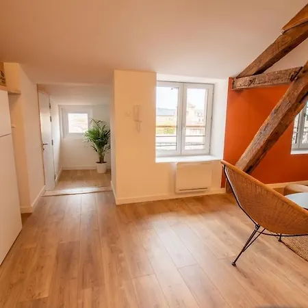 Loft Atelier Hyper Centre Albi Apartment Exterior photo