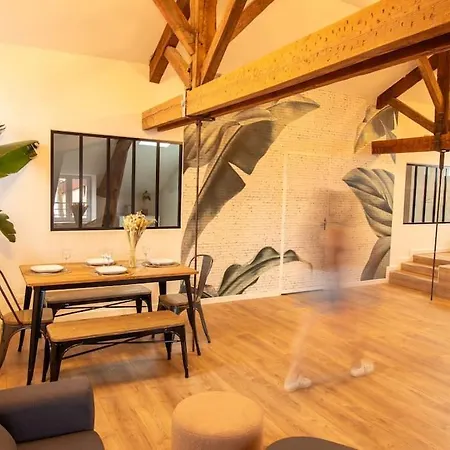 Loft Atelier Hyper Centre Albi Apartment Exterior photo