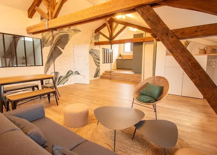 Loft Atelier Hyper Centre Albi